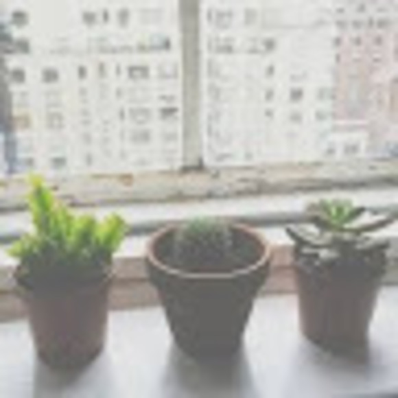 Meet your Posher, Hannah - Picture 1 of 1